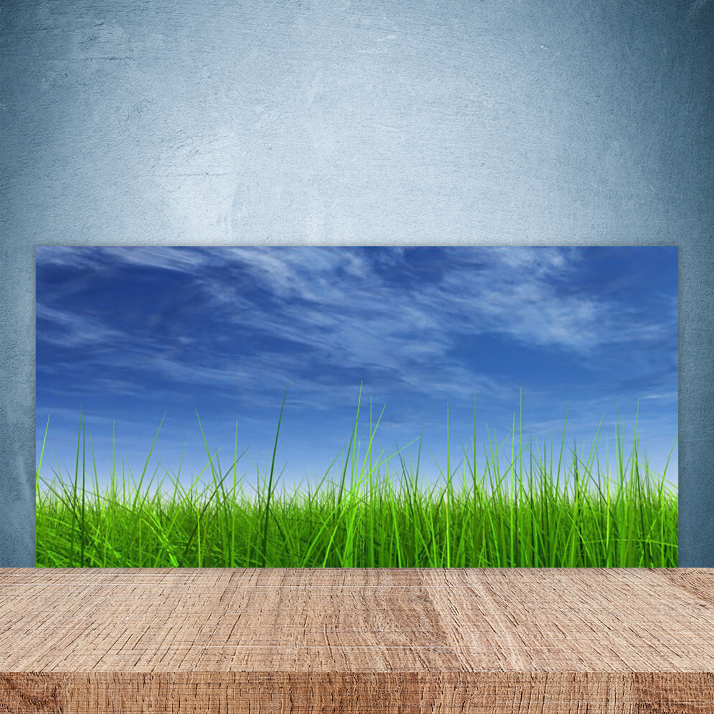 Crédence en verre 100x50 pour cuisine lumineuse paysage d'herbe