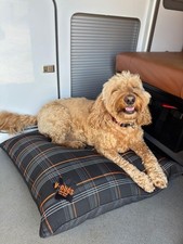 Campervan Dog Bed