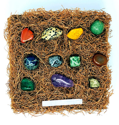 Polished Gemstone Collection | Crystal Starter Set with Velvet Bag