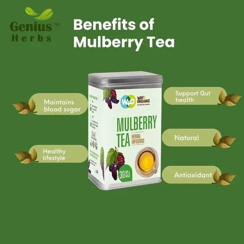 WAY 4 ORGANIC W4O Mulberry Tea in Dip 30TB 100G