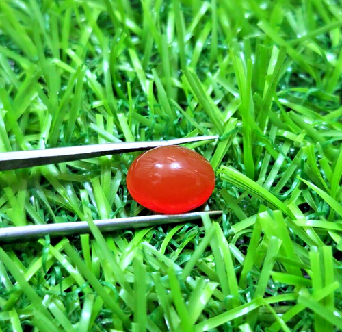 Making For Jewelry 4.70 Crt Pretty Orange Carnelian Oval Cabochon Loose Gemstone - Picture 5 of 8