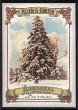 2021 Topps Allen & Ginter Arboreal Appreciation White Spruce #AA-4