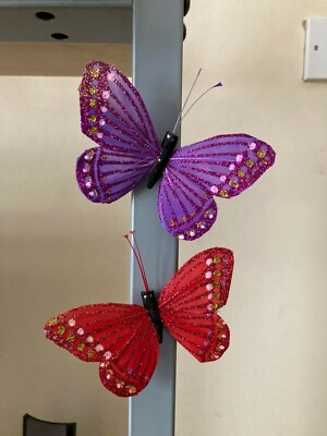 2x großer Schmetterling Magnet bemalt Federmagnet