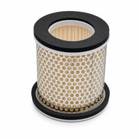Meiwa Luftfilter (FüR: Yamaha XJ 600 N 4LX 94-97 )