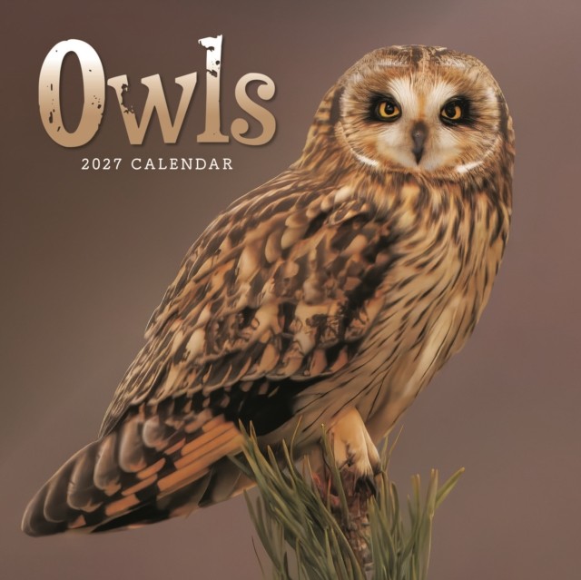Carousel Worldwide Owls 2027 Mini Wall Calendar 12-Month | PB | 2026 - Image 5