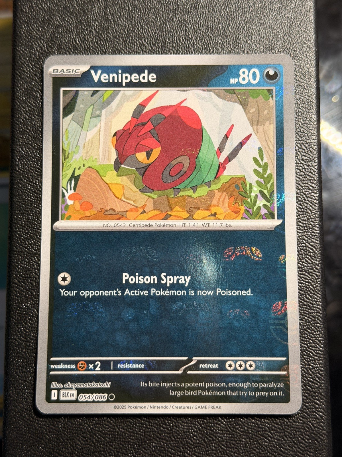 Venipede (Master Ball Pattern) 054/086 Sv: Black Bolt Holo Pokemon Card NM/M