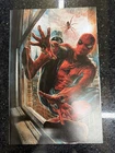 Amazing Spider-Man 1 1:200 Lee Bermejo Virgin Variant Cover Comic Marvel NM