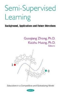 Semi-Supervised Learning: Hintergrund, Anwendungen und zukünftige Richtungen