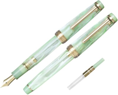 Sailor Pro Gear Veilio Pearl Mint 21K MF Fountain Pen New in Box Japan
