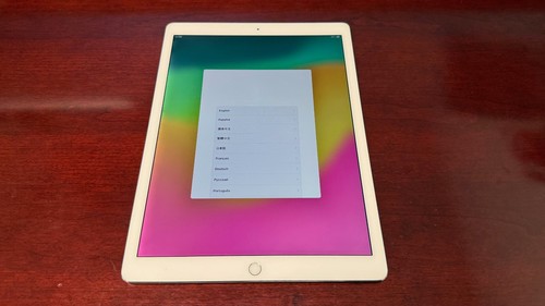 Apple iPad Pro 12.9in (2nd Gen) - 256 GB - Silver (Cell) - Contains Halo - Afbeelding 3 van 9
