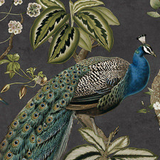 Charcoal Peacock Woods Wallpaper Green Floral Design Mulit Birds Feature Bedroom