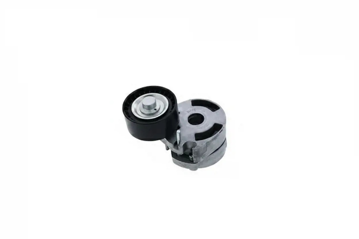 SNR GA359.11 Rullo Tendicinghia - Immagine 2