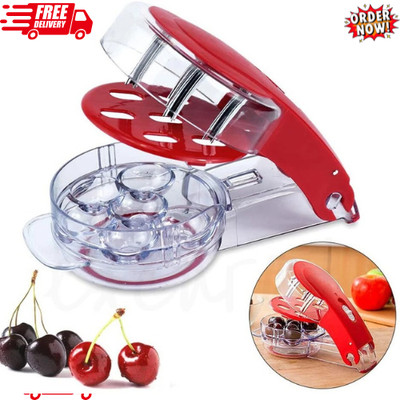 Pitter Stone Seed Remover Cherry Olive Pits Tool Kitchen Corer Fruit Core Stoner