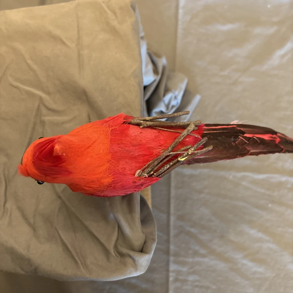 10 adornos navideños Pottery Barn Red Cardinal Clip 11" estómago de arpillera. Foto 2 de 4