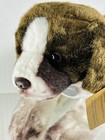Foto 4 di 6