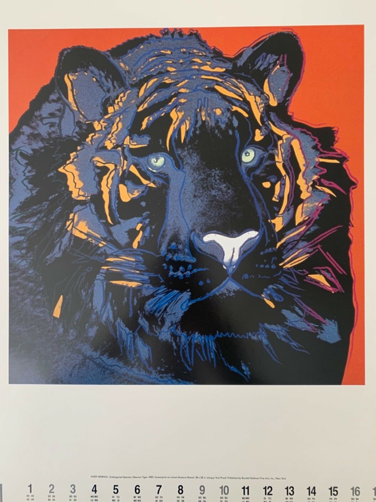 Picture 2 of 11
