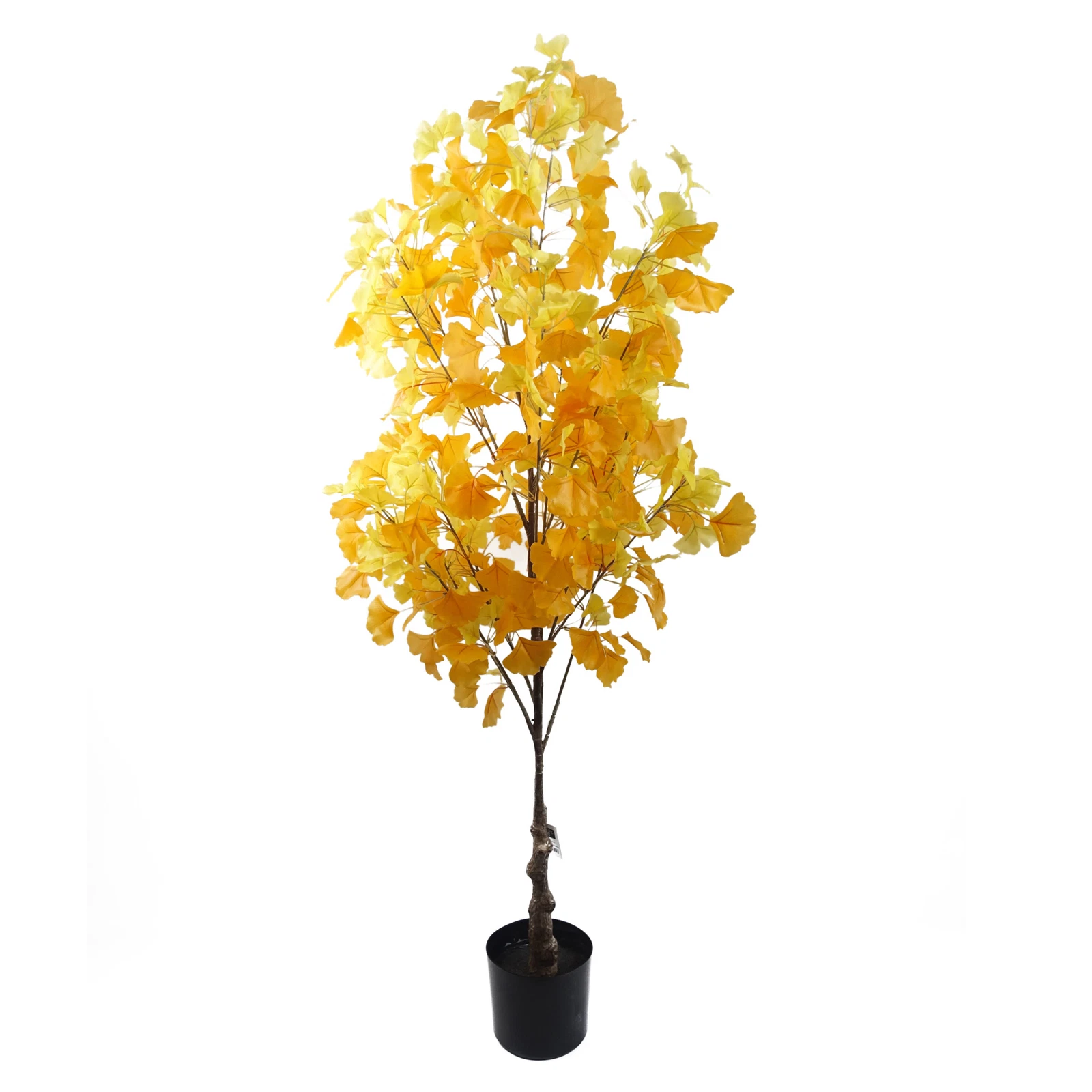 150cm Ginko - 40625