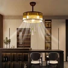Gold Ceiling Fan Light Indoor Ceiling Fan Lamp for Bedroom with Remote Control
