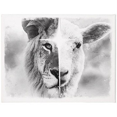 Sincere Surroundings 470530 Lion & Lamb Wrapped Canvas Black & White - 17 x 1...