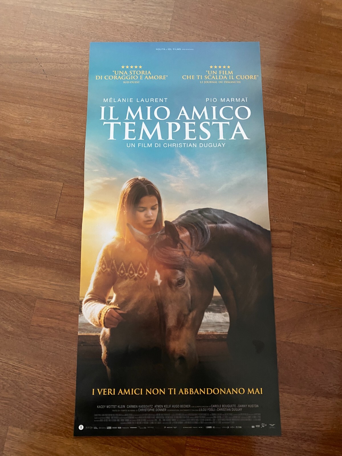 Locandina di Il mio amico Tempesta (2021)