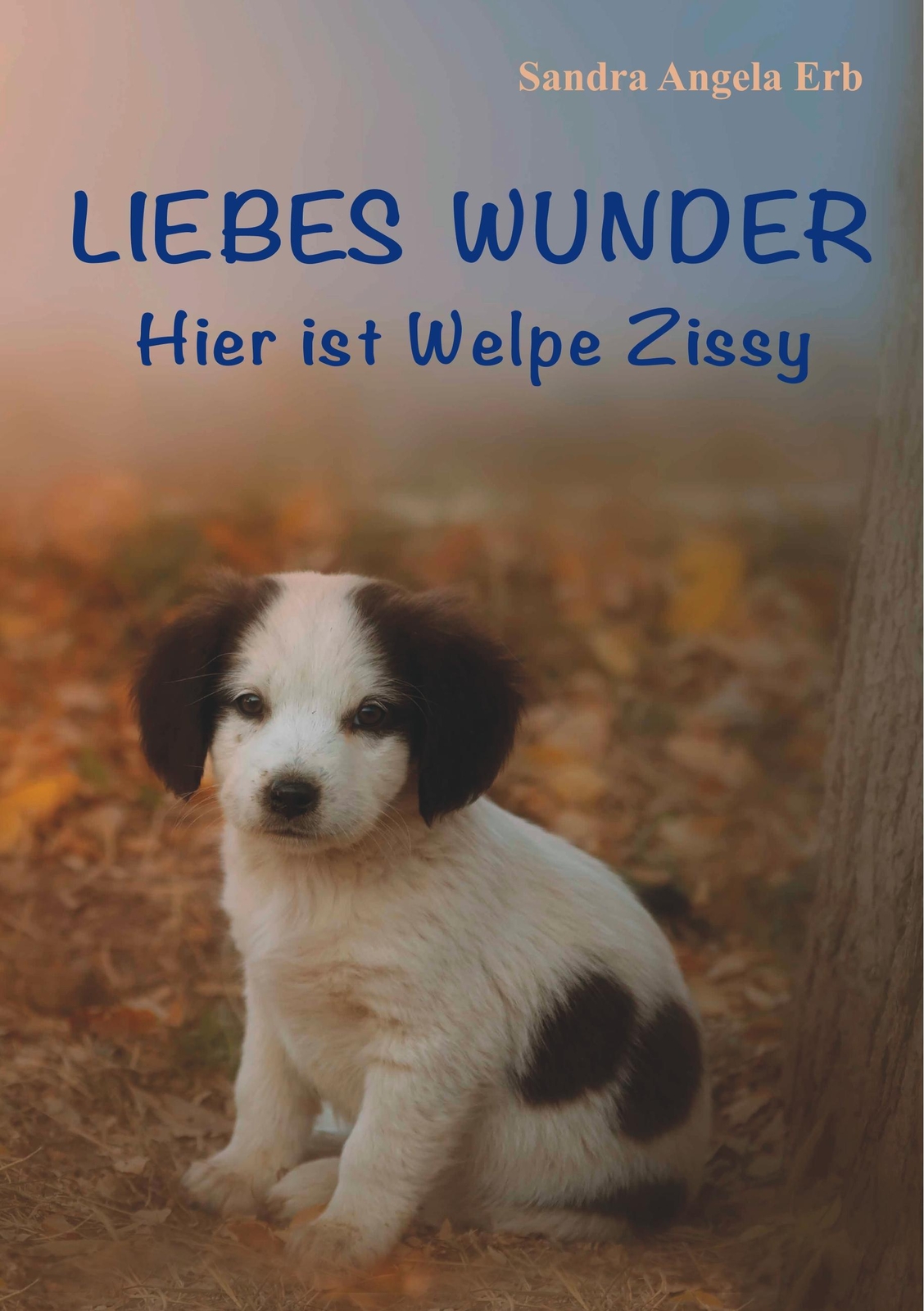 Thumbnail - Liebes Wunder | Buch | 9783749499205
