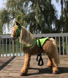 butterscotch pony ebay