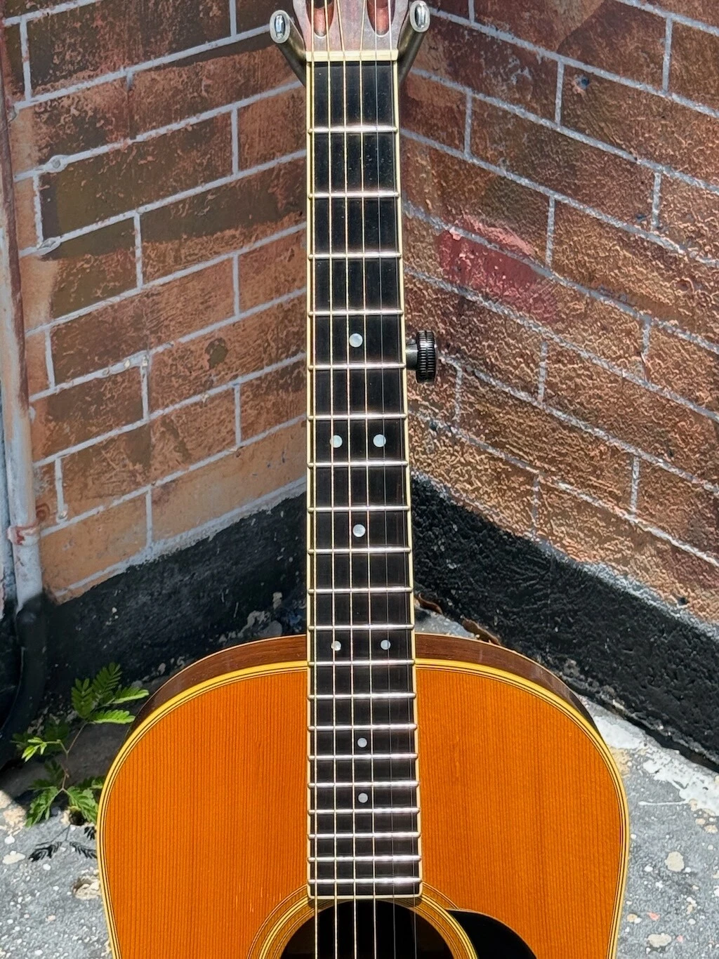 Picture 6 of 12