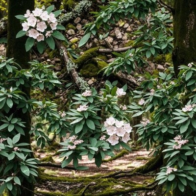 Mountain Laurel 42 - 16'' x 48'' Hydrographic Film Hydro Dipping