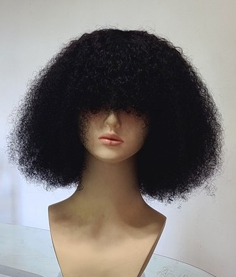14''Afro Kinky-Curly Human Hair Wig with bangs Glueless Brazilian Afro Wig Black.