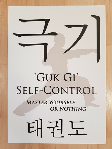 5 Tenets of Taekwondo A4 Posters Set of 5 - Great Gift for TKD student