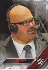 Jason Albert 2016 Topps WWE Silver Parallel Card #22