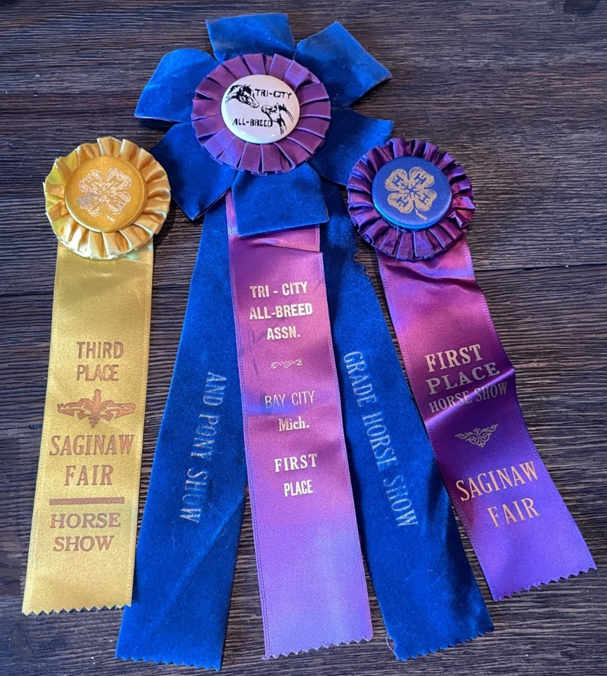 Lote de 10 cintas de exhibición de caballos de los años 60-80 rosetas artesanías Saginaw Bay Hiloma MI #46 Foto 4 de 4