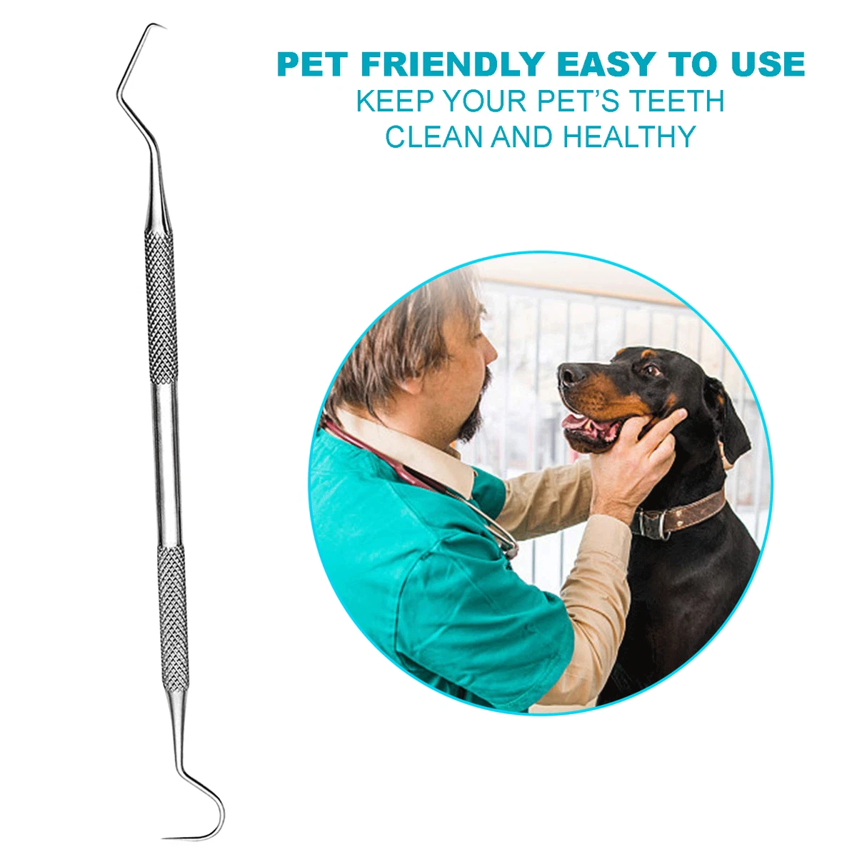 Dog 2024 dental pick