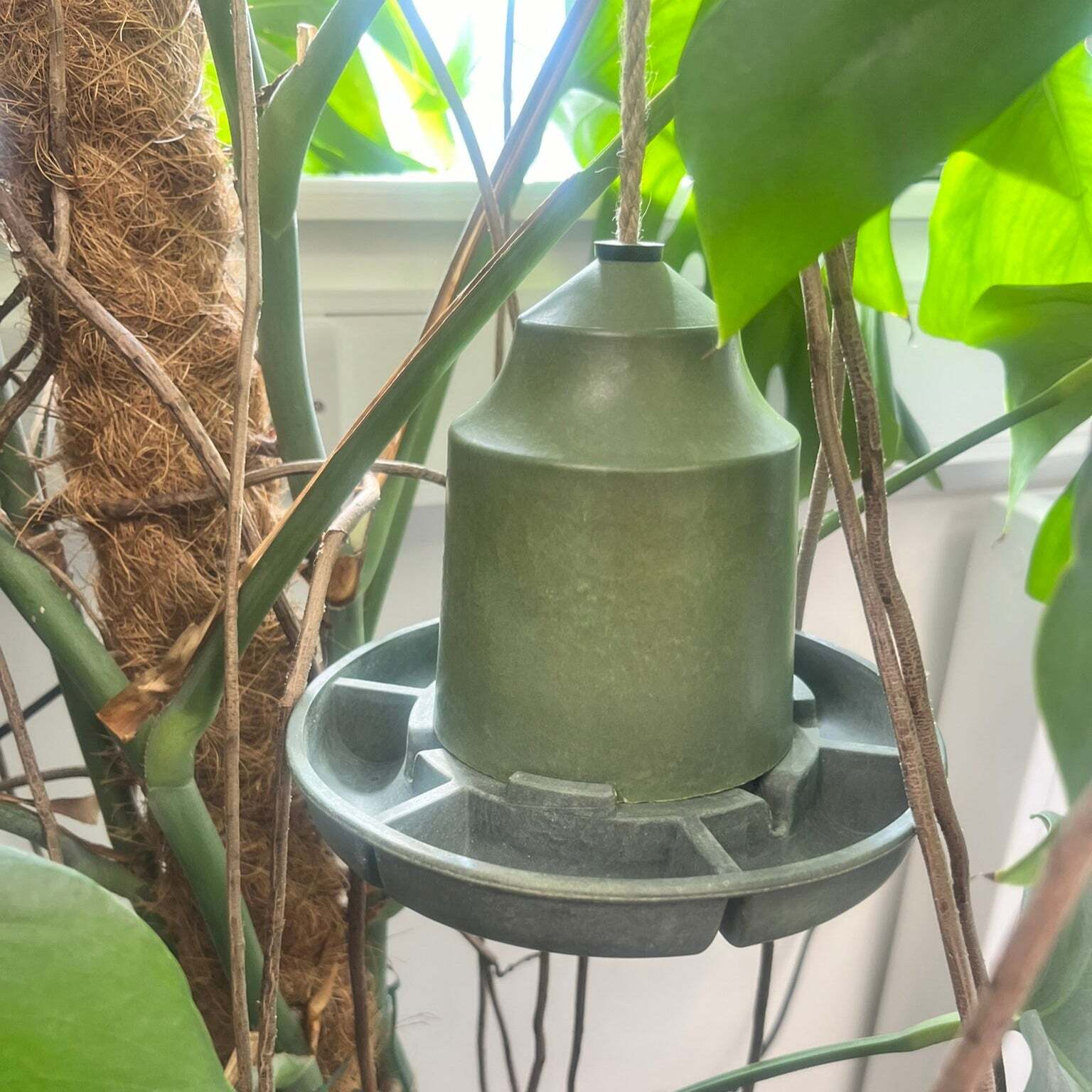 Bamboo Bird Feeder by Creative Products