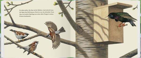 Thumbnail - Ein Jahr Mit Den Spatzen