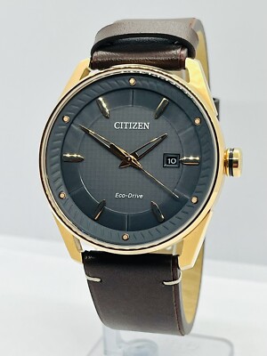 Citizen Men's Eco-Drive Gold/Black Leather Gray Dial 42mm Watch