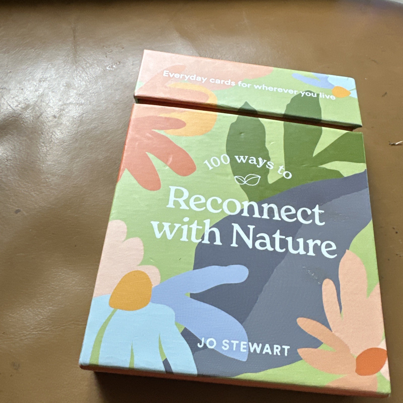 Bin 100 Ways to Reconnect with Nature Cards
