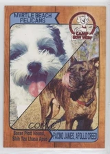 2017 Choice Myrtle Beach Pelicans Camp Bow Wow Pacino James Apollo Creed #25 0b5