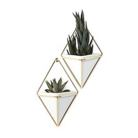 Umbra Small Trigg Wall, Set Of 2, White/brass Umbra Small Trigg Wall, Set Of 2, White/brass
