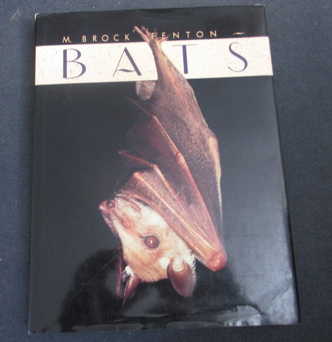 洋書　BATS     M. BROCK FENTON Amazon.com: Bats: A World of Science and Mystery
