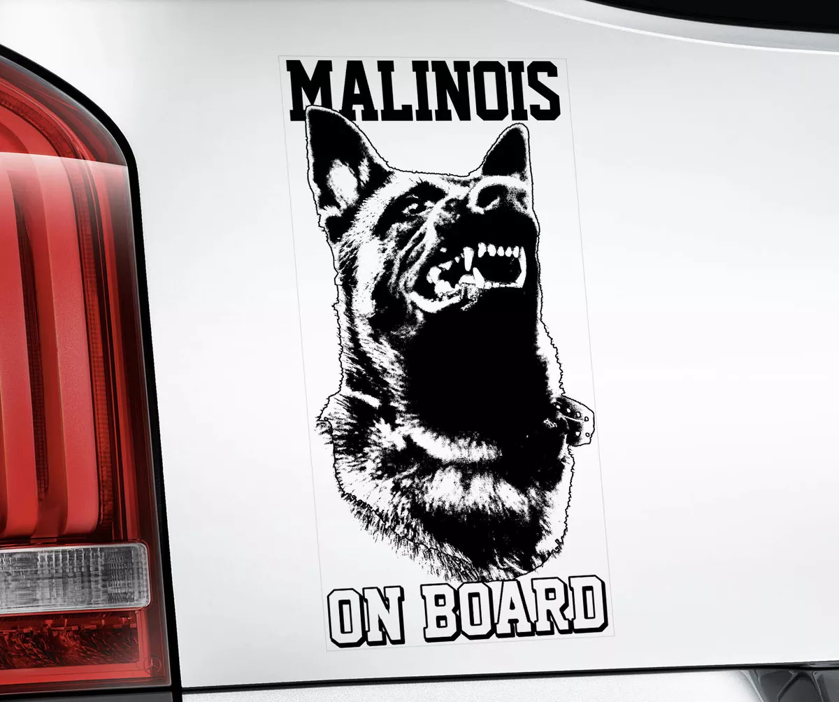 Belgian malinois on sale car decal