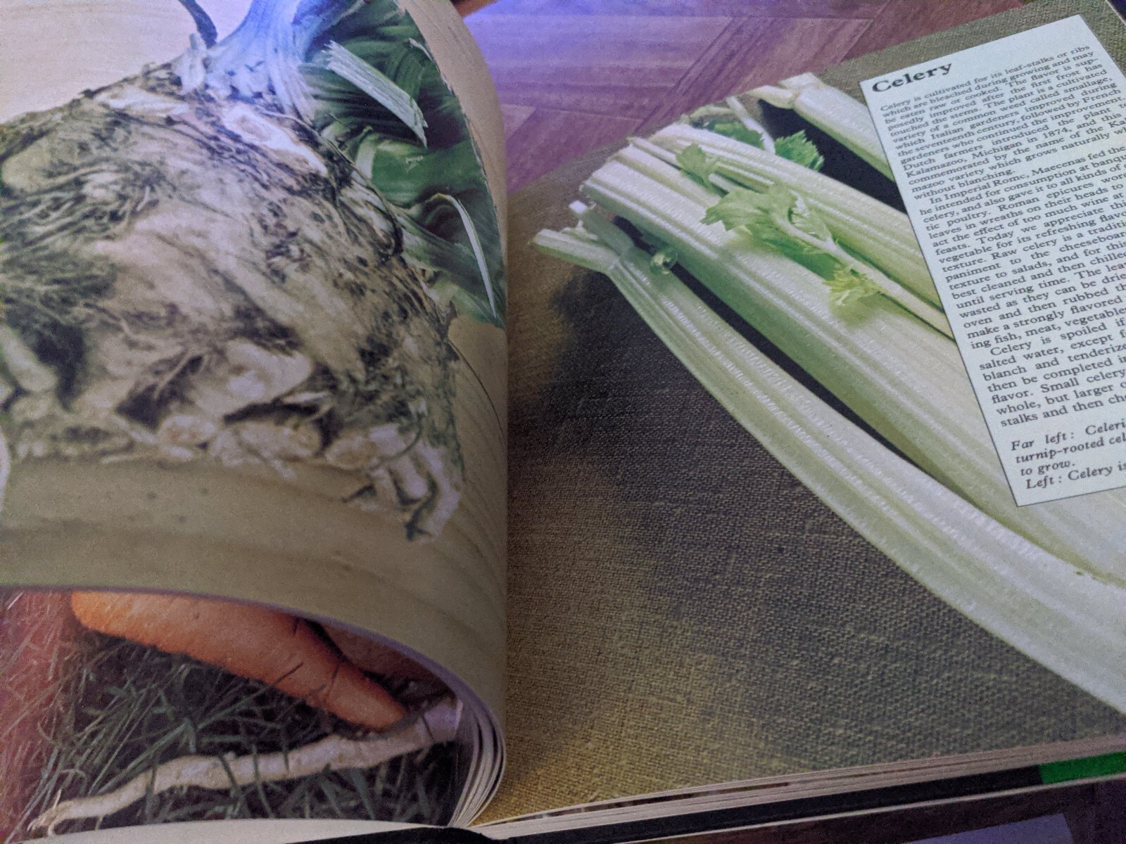 The Complete Vegetable  Cookbook Nancy Norwalk 