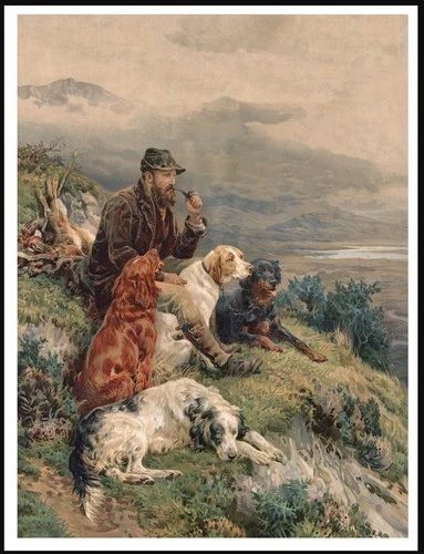 ENGLISH IRISH GORDON SETTER DOGS AND MAN LOVELY DOG ART PRINT POSTER