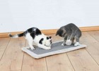 Bild 1 von 2