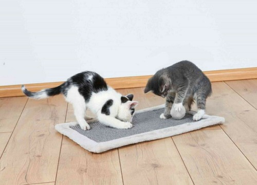 Katzen Kratzmatte Sisal mit Plüschrand Kratzspielzeug mit Spielball 55 x 35 cm  - Bild 1 von 2