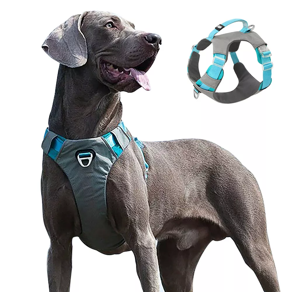 Large on sale dog harness