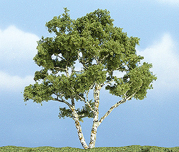 Woodland Scenics 1601 árboles premium a todas las escalas abedul 3-7/8 pulgadas | Zustand: New