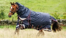 LeMieux Kudos Thermo Layer Turnout Rug 300g Heavy - Navy