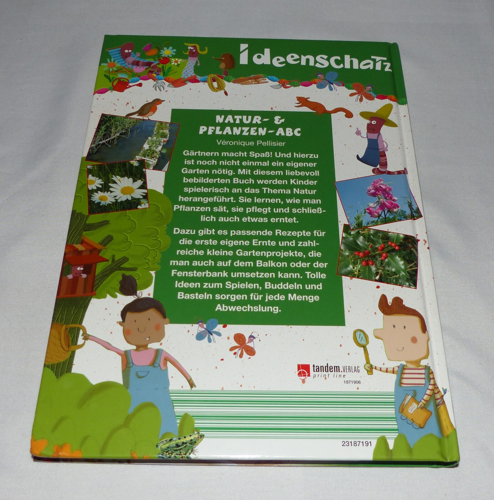 Bild 2 von 2