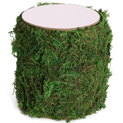 USMOLA Moss Roll, Dried for Crafts, 60 inches x 12 inches, 4'' W X 48'' L 